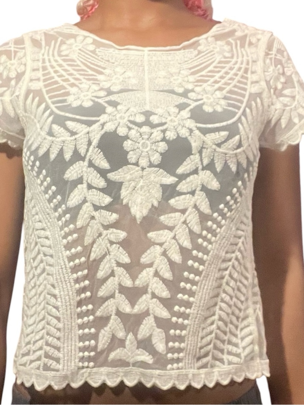 Express vintage White Sheer Embroidered Floral Lace mesh Top short sleeves